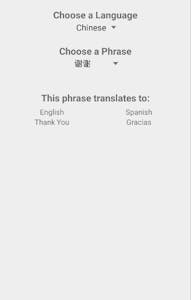 Pocket Translator