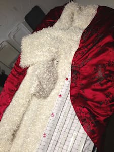 PixelPusher DreamCoat