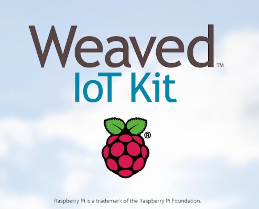 Access your Raspberry Pi over the Internet