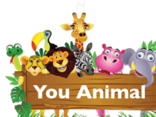 Animal App