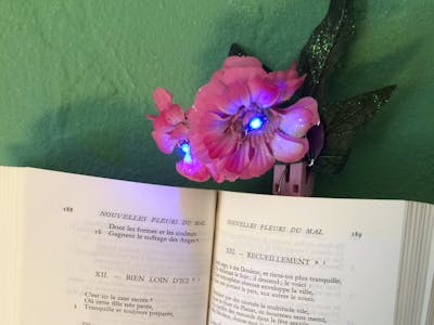 A beautiful switch-on book light
