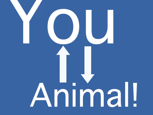 YouAnimal!