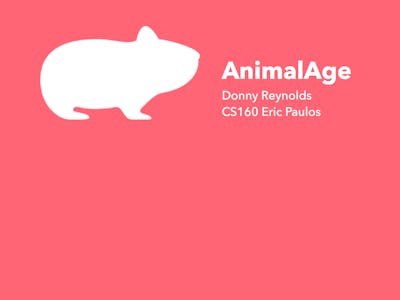 AnimalAge - A Fast & Simplistic Animal Converter