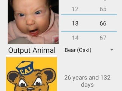 What's Your Animal Age?