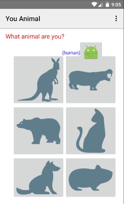 What is your animal age?