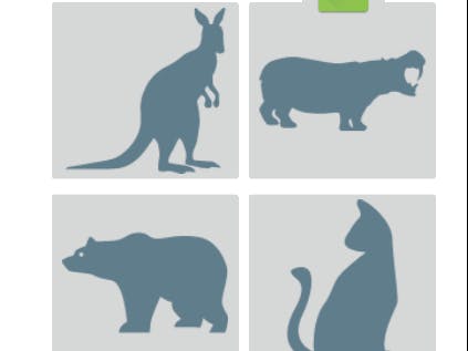 What is your animal age?