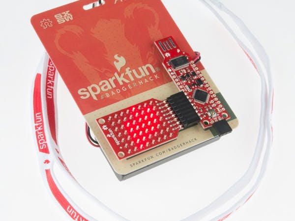 Programming an old BadgderStick