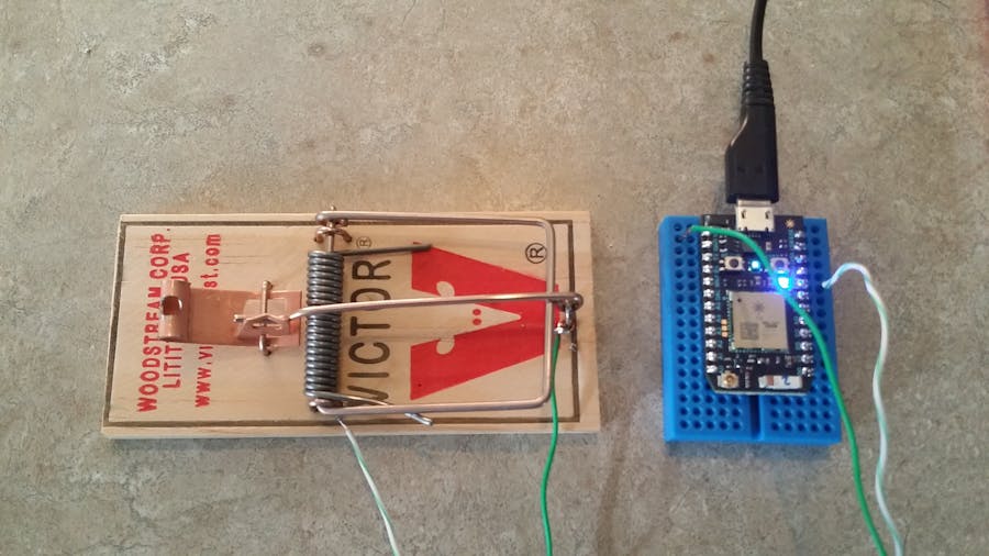 Electrical Technology - Home made mouse trap