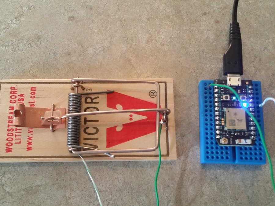 Making a smarter mouse trap