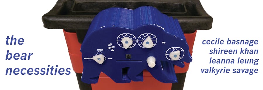 The Bear Necessities - Designing for Communal Consumption